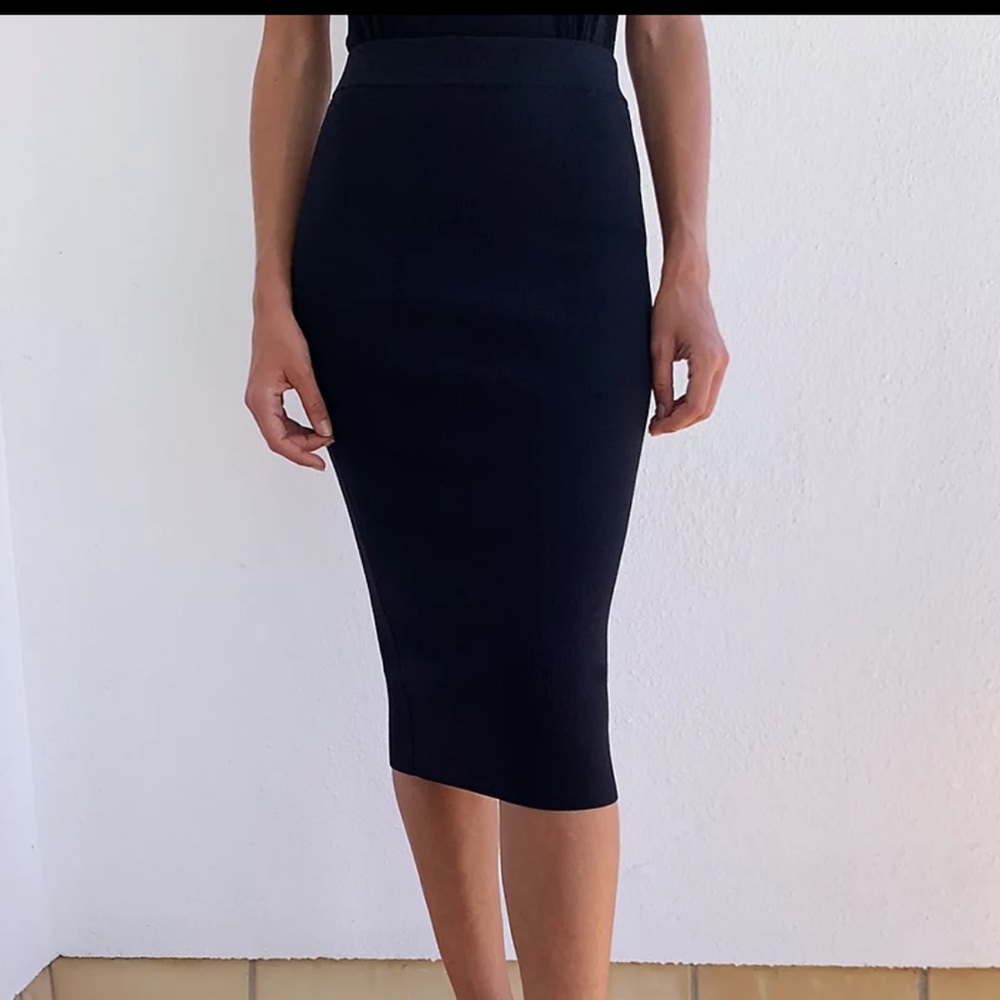Aritzia Tube Skirt - Rust